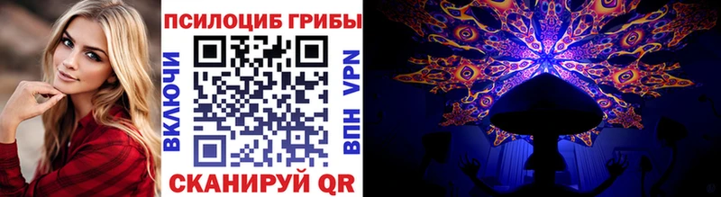как найти наркотики  Ардатов  Псилоцибиновые грибы Magic Shrooms 